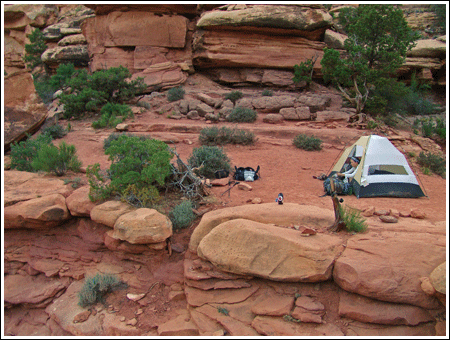 canyon elephant campsite canyonlands