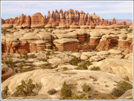 The Needles in Canyonlands