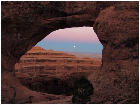 Partition Arch